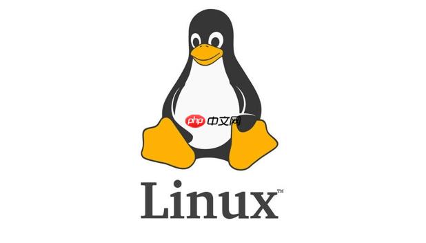 如何在Linux命令行中压缩和解压文件？（命令行.解压.压缩.文件.如何在...）