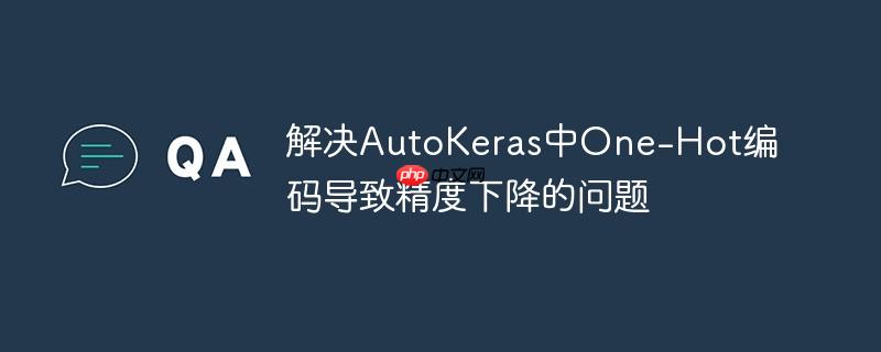 解决AutoKeras中One-Hot编码导致精度下降的问题（精度.编码.下降.导致.解决...）