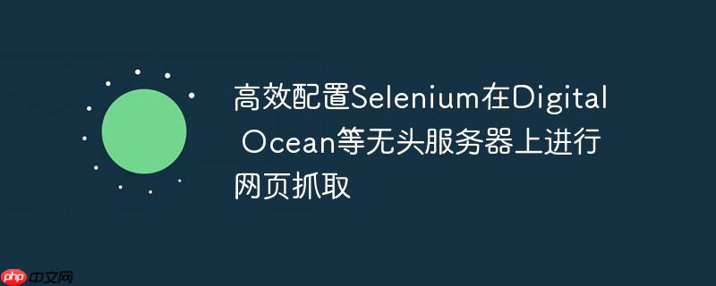 高效配置Selenium在Digital Ocean等无头服务器上进行网页抓取
