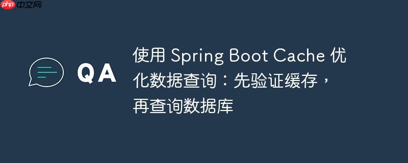 使用 Spring Boot Cache 优化数据查询：先验证缓存，再查询数据库（缓存.数据查询.验证.优化.数据库...）
