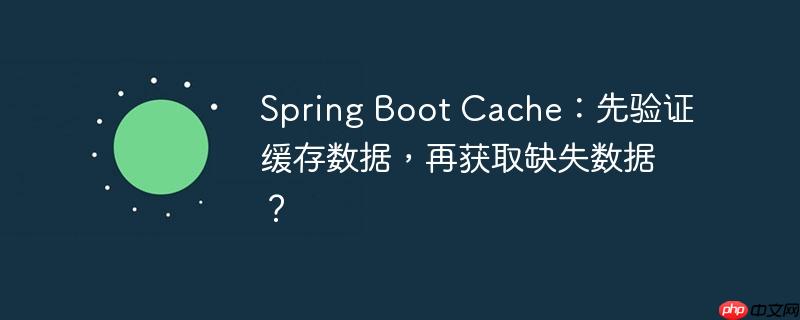 Spring Boot Cache：先验证缓存数据，再获取缺失数据？（数据.缺失.缓存.获取.验证...）