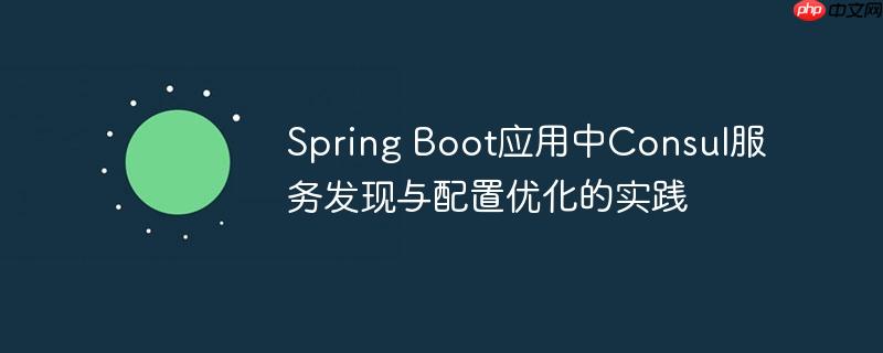 Spring Boot应用中Consul服务发现与配置优化的实践
