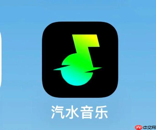 汽水音乐如何清理缓存 汽水音乐存储空间的优化方法（汽水.音乐.缓存）