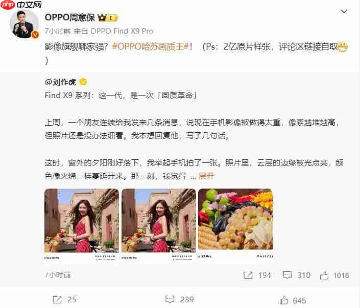 画质革命！OPPO Find X9 系列释出 2 亿像素样张（样张.画质.像素）