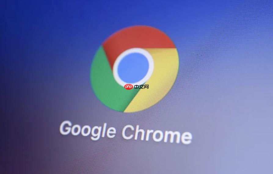 谷歌浏览器怎么设置启动项参数_chrome快捷方式添加命令行启动参数教程