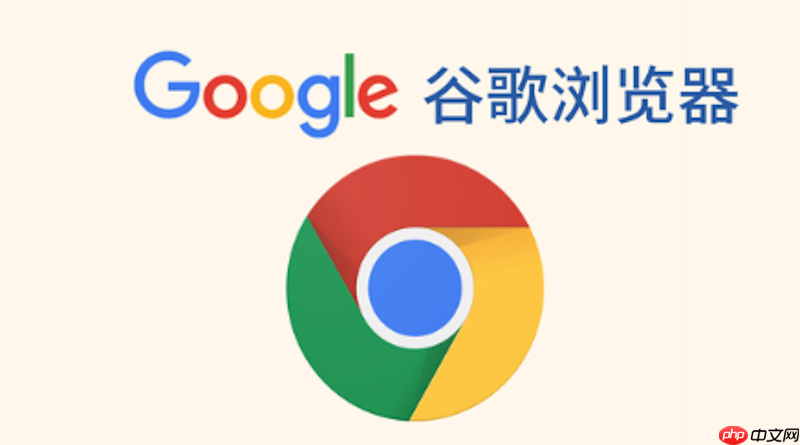 谷歌浏览器打印预览无法打开怎么办（预览.无法打开.浏览器）