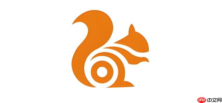 UC浏览器为什么打不开网盘分享链接_UC浏览器网盘链接无法访问解决方案（浏览器.链接.打不开）