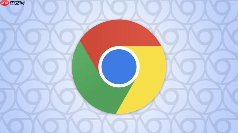 Chrome浏览器打不开了怎么办_Chrome浏览器无法启动的解决方案（浏览器.打不开.无法启动）