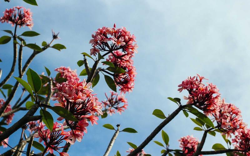 数据分析入门教程：从零到洞察的六步实战指南