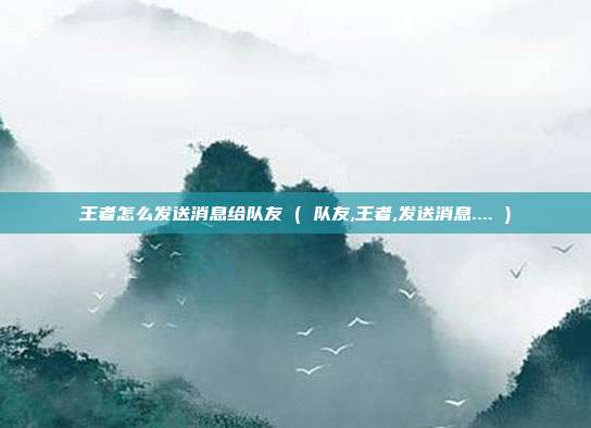 王者怎么发送消息给队友 ( 队友,王者,发送消息.... )