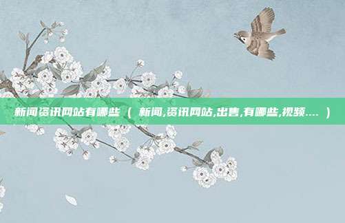 新闻资讯网站有哪些 ( 新闻,资讯网站,出售,有哪些,视频.... )