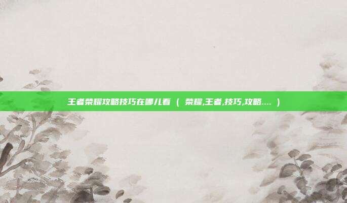 王者荣耀攻略技巧在哪儿看 ( 荣耀,王者,技巧,攻略.... )