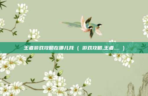 王者游戏攻略在哪儿找 ( 游戏攻略,王者.... )
