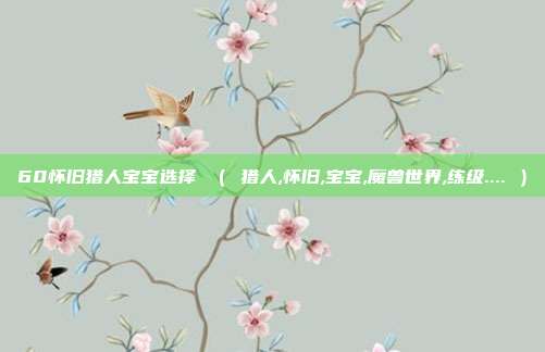 60怀旧猎人宝宝选择 （ 猎人,怀旧,宝宝,魔兽世界,练级.... ）