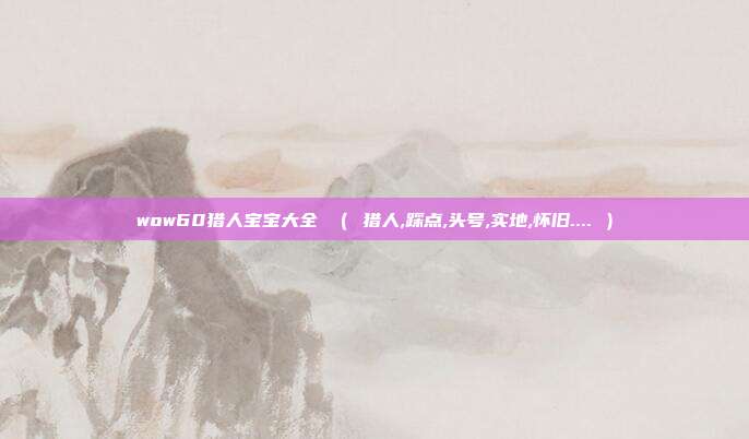 wow60猎人宝宝大全 （ 猎人,踩点,头号,实地,怀旧.... ）