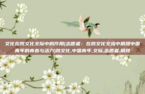 文化在跨文化交际中的作用(志愿者：在跨文化交流中展现中国青年的青春与活力)跨文化,中国青年,交际,志愿者,展现