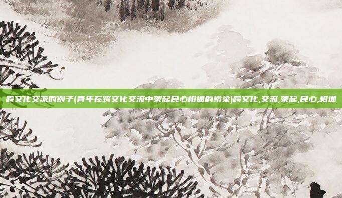 跨文化交流的例子(青年在跨文化交流中架起民心相通的桥梁)跨文化,交流,架起,民心,相通