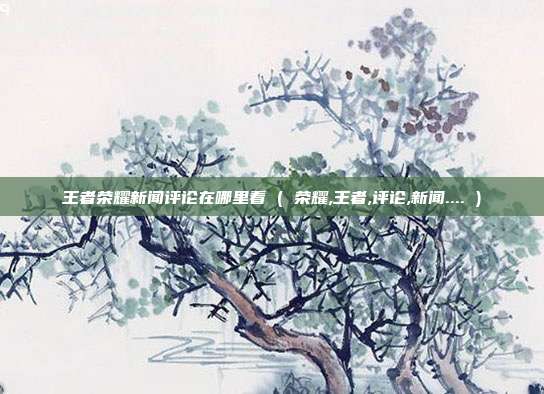 王者荣耀新闻评论在哪里看 ( 荣耀,王者,评论,新闻.... )