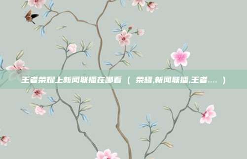 王者荣耀上新闻联播在哪看 ( 荣耀,新闻联播,王者.... )