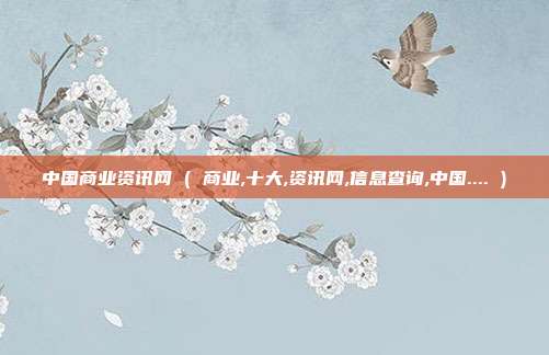 中国商业资讯网 ( 商业,十大,资讯网,信息查询,中国.... )