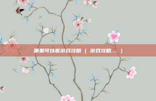 哪里可以看游戏攻略 ( 游戏攻略.... )