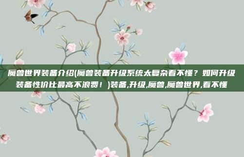 魔兽世界装备介绍(魔兽装备升级系统太复杂看不懂？如何升级装备性价比最高不浪费！)装备,升级,魔兽,魔兽世界,看不懂