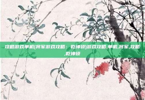 攻略游戏单机(将军游戏攻略：乾坤袋)游戏攻略,单机,将军,攻略,乾坤袋