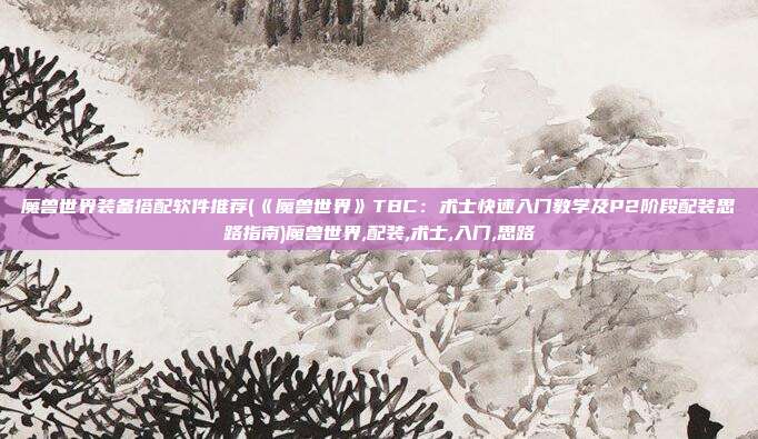 魔兽世界装备搭配软件推荐(《魔兽世界》TBC：术士快速入门教学及P2阶段配装思路指南)魔兽世界,配装,术士,入门,思路