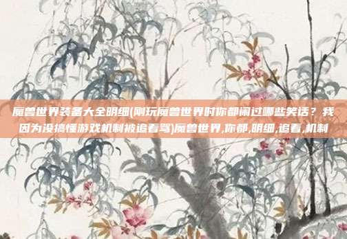 魔兽世界装备大全明细(刚玩魔兽世界时你都闹过哪些笑话?我因为没搞懂游戏机制被追着骂)魔兽世界,你都,明细,追着,机制