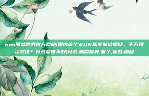 wow魔兽世界官方网站(国内首个WOW职业队被质疑，千万投资就这？开荒都做不好)开荒,魔兽世界,首个,都做,质疑