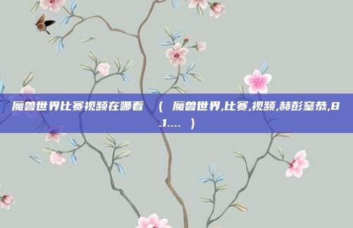 魔兽世界比赛视频在哪看 （ 魔兽世界,比赛,视频,赫彭窒恭,8.1.... ）