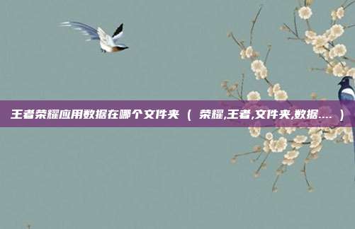 王者荣耀应用数据在哪个文件夹 ( 荣耀,王者,文件夹,数据.... )