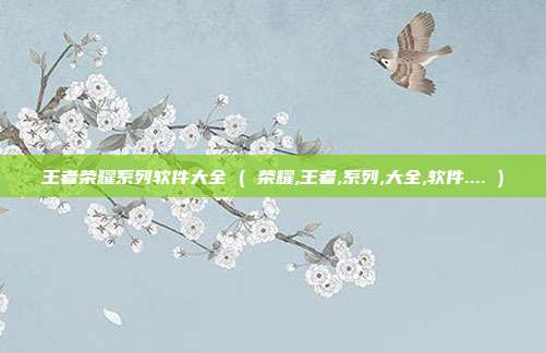 王者荣耀系列软件大全 ( 荣耀,王者,系列,大全,软件.... )