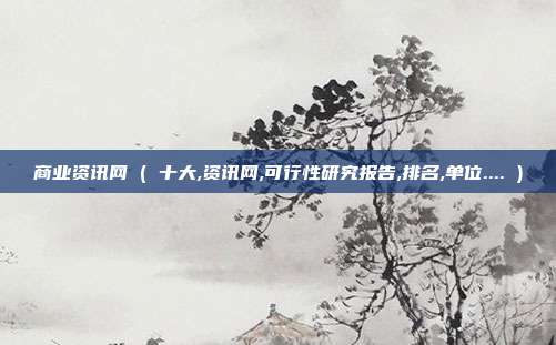 商业资讯网 ( 十大,资讯网,可行性研究报告,排名,单位.... )