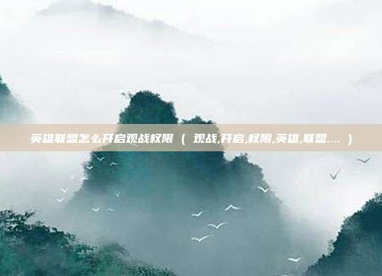 英雄联盟怎么开启观战权限 ( 观战,开启,权限,英雄,联盟.... )