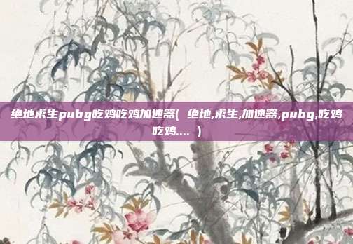绝地求生pubg吃鸡吃鸡加速器( 绝地,求生,加速器,pubg,吃鸡吃鸡.... )