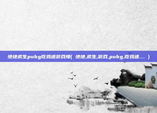 绝地求生pubg吃鸡进游戏慢( 绝地,求生,游戏,pubg,吃鸡进.... )