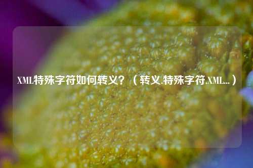 XML特殊字符如何转义？（转义.特殊字符.XML...）